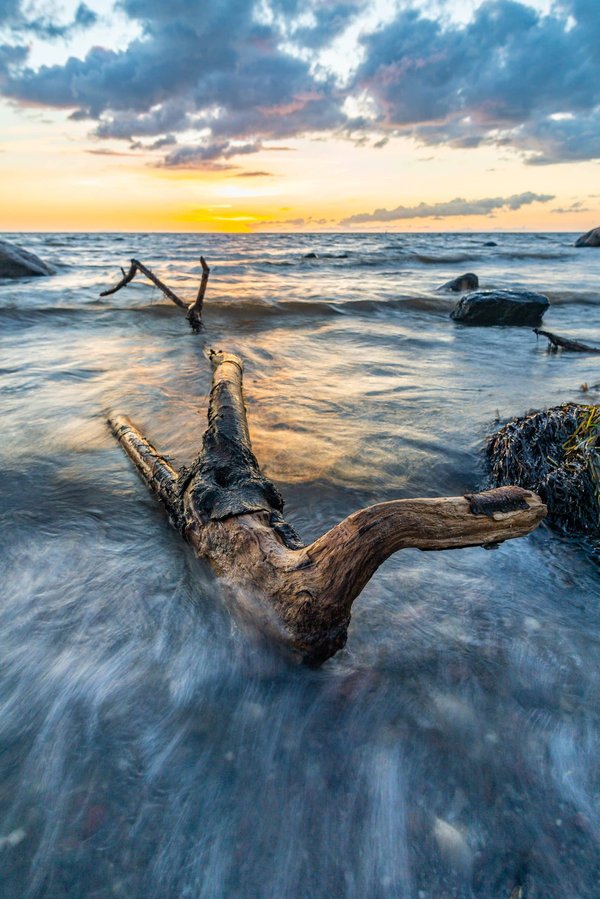 Les poêles à bois : Sont-ils le choix idéal pour votre maison ?
