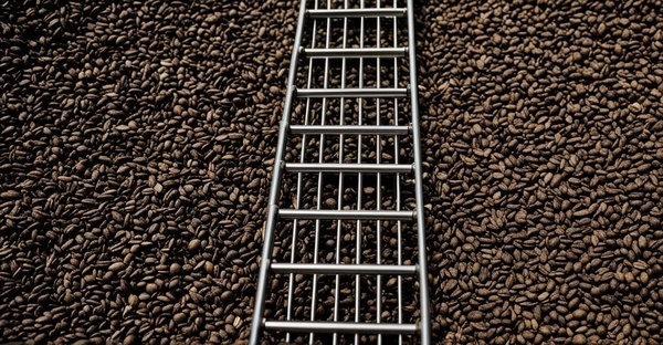 Achat d'échelle 3 plans : qualité et polyvalence garanties